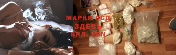 эйфоретик Баксан