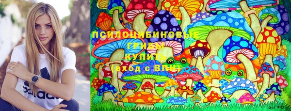 эйфоретик Баксан