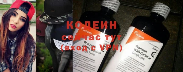 эйфоретик Баксан
