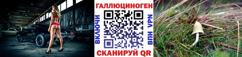 Псилоцибиновые грибы Psilocybine cubensis  Омутнинск 